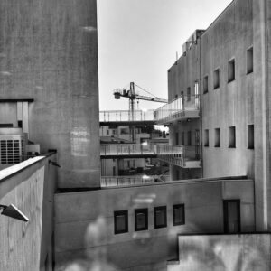 453387880_10233184080449845_2057499902904198484_n